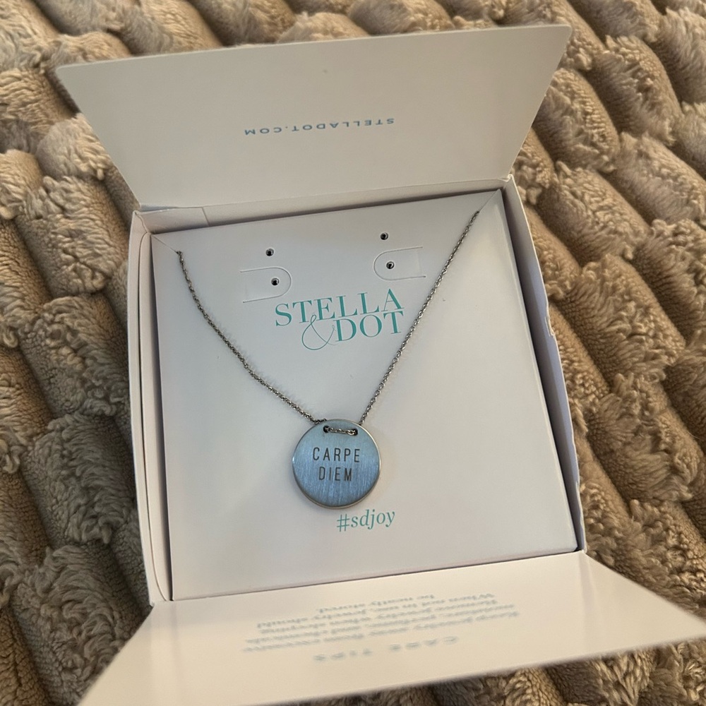 Stella & Dot/Keep Collective Silver 'Carpe Diem' Necklace